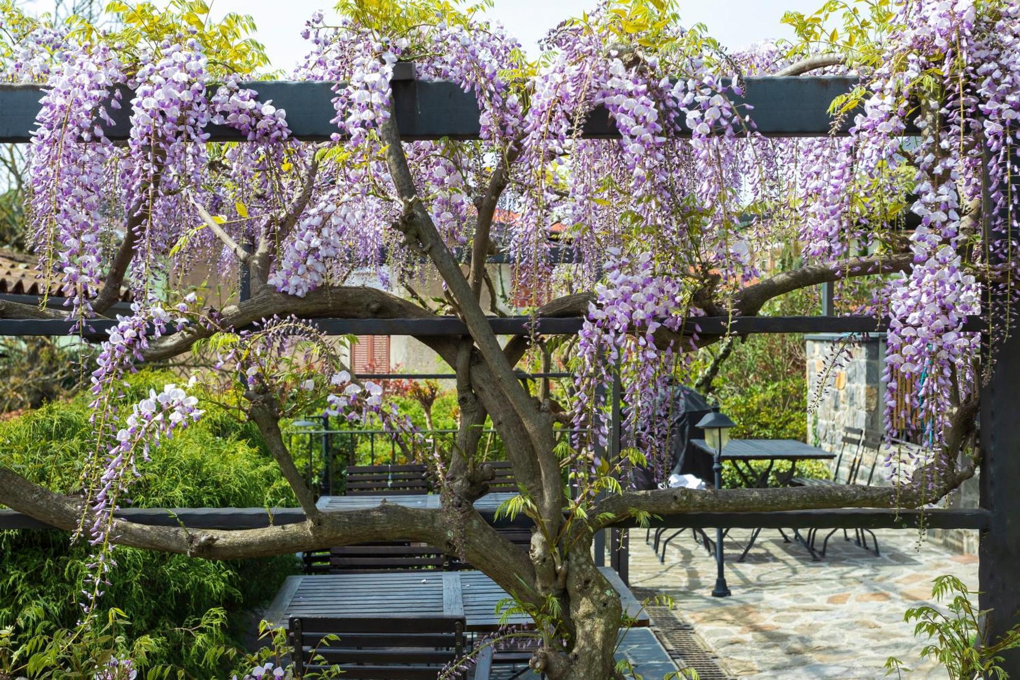 Guest House Valentincic Nova Gorica Exterior foto